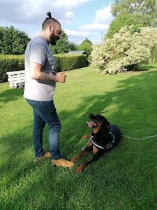 Tony Comportementaliste et Educateur Canin Tony Comportementaliste et Educateur Canin